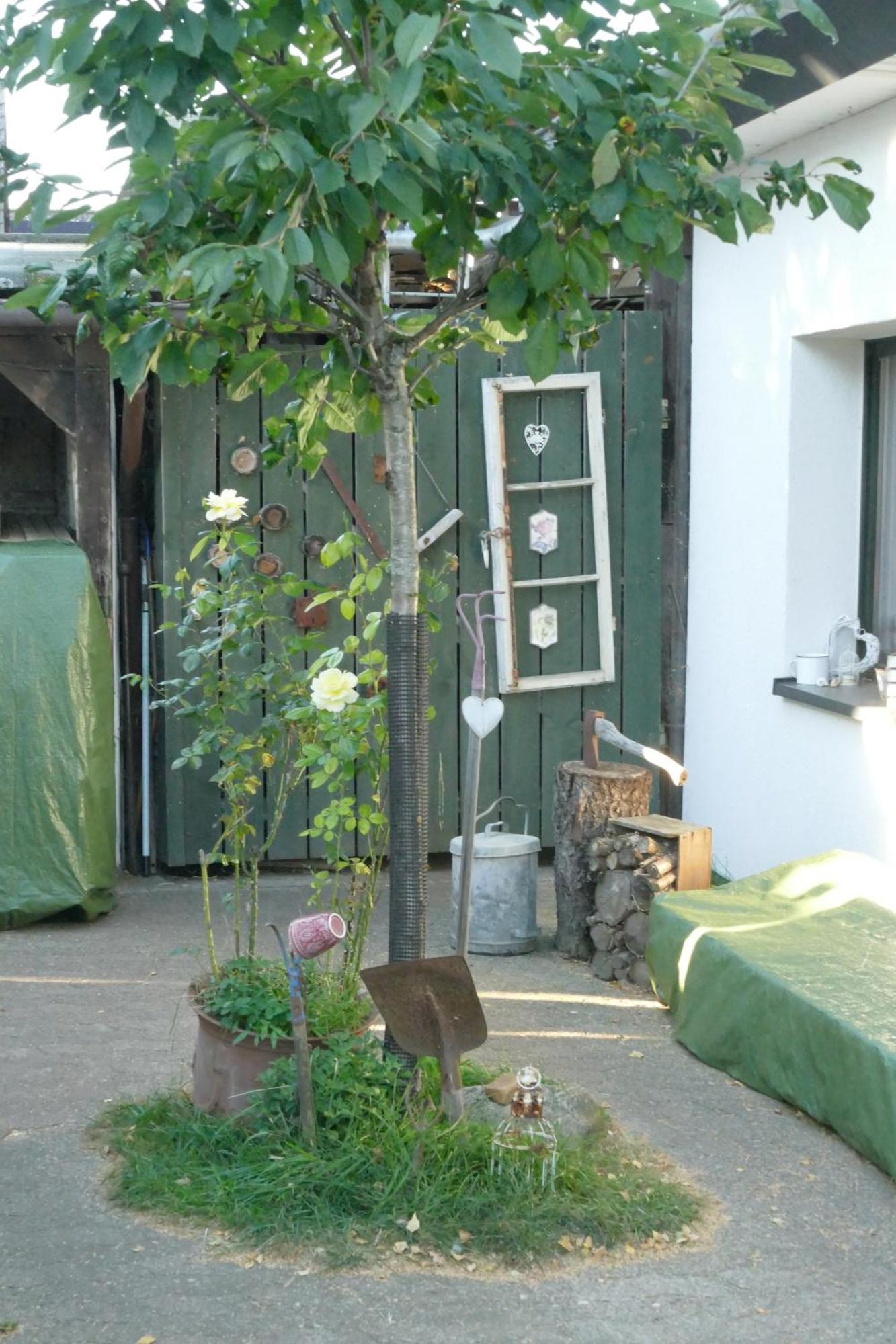 Ferienhaus Mit Minibauernhof Munster im Heidekreis Exterior photo